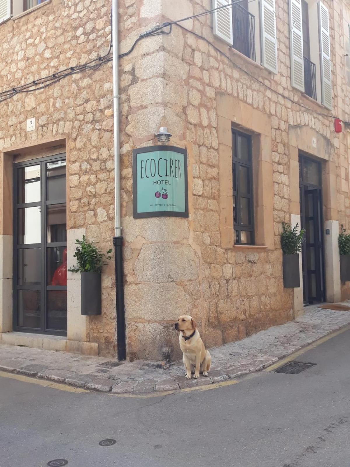 Ecocirer Healthy Stay Soller Exterior photo
